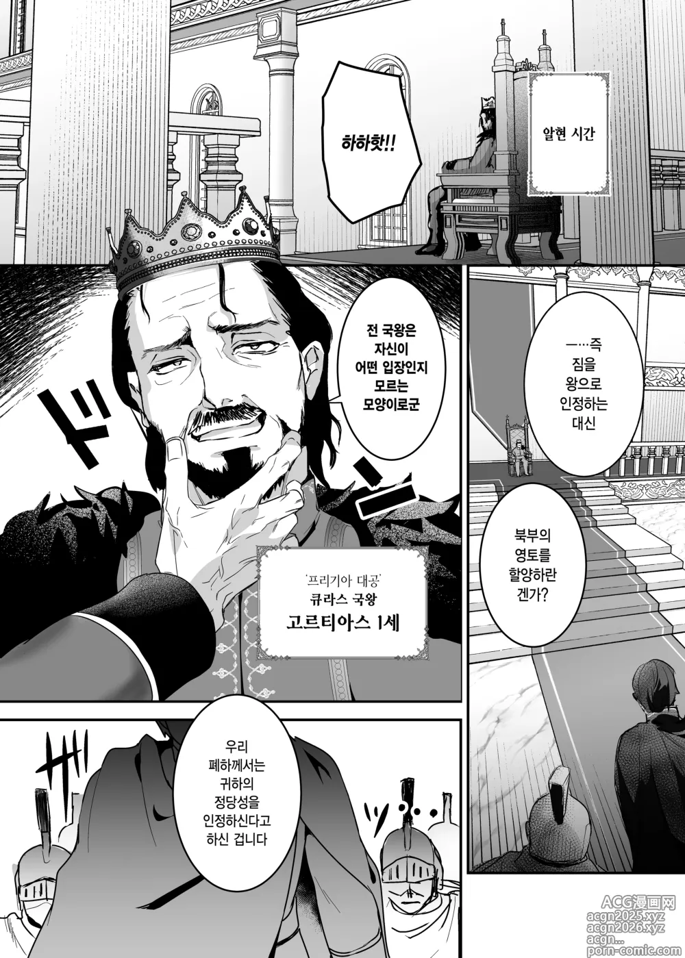 Page 14 of doujinshi 왕녀 함락 2
