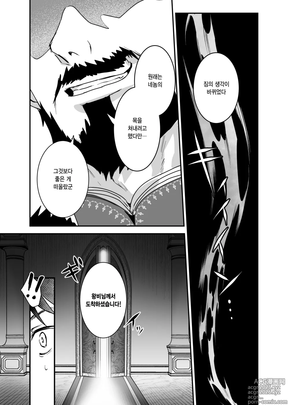 Page 17 of doujinshi 왕녀 함락 2