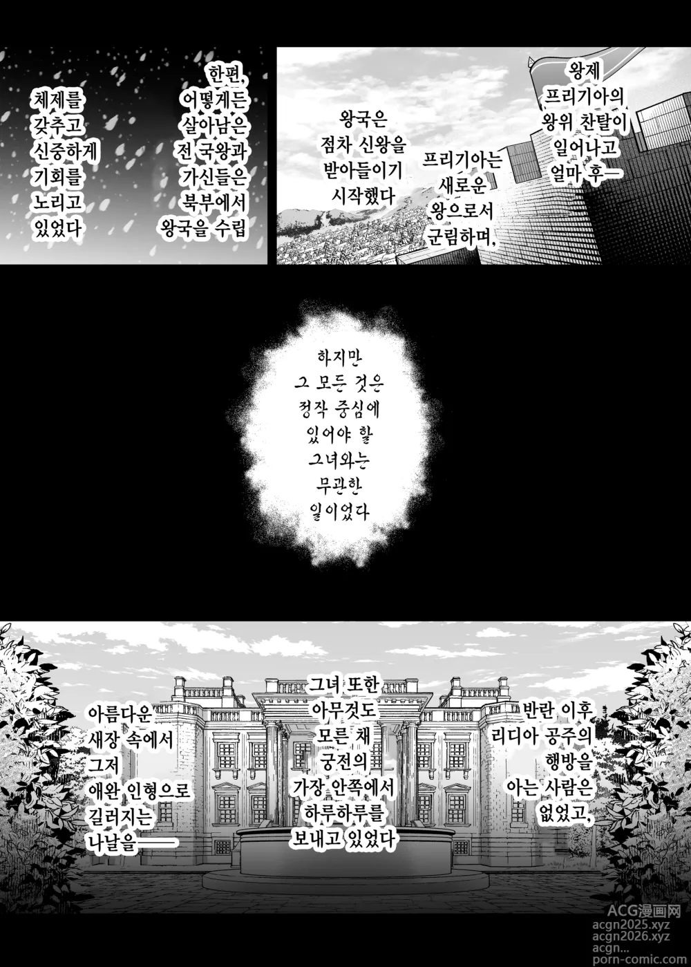 Page 3 of doujinshi 왕녀 함락 2