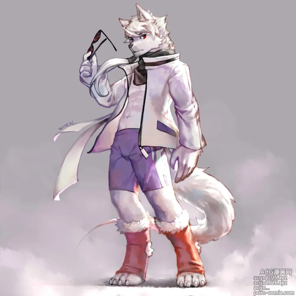 Page 199 of imageset wincalblanke