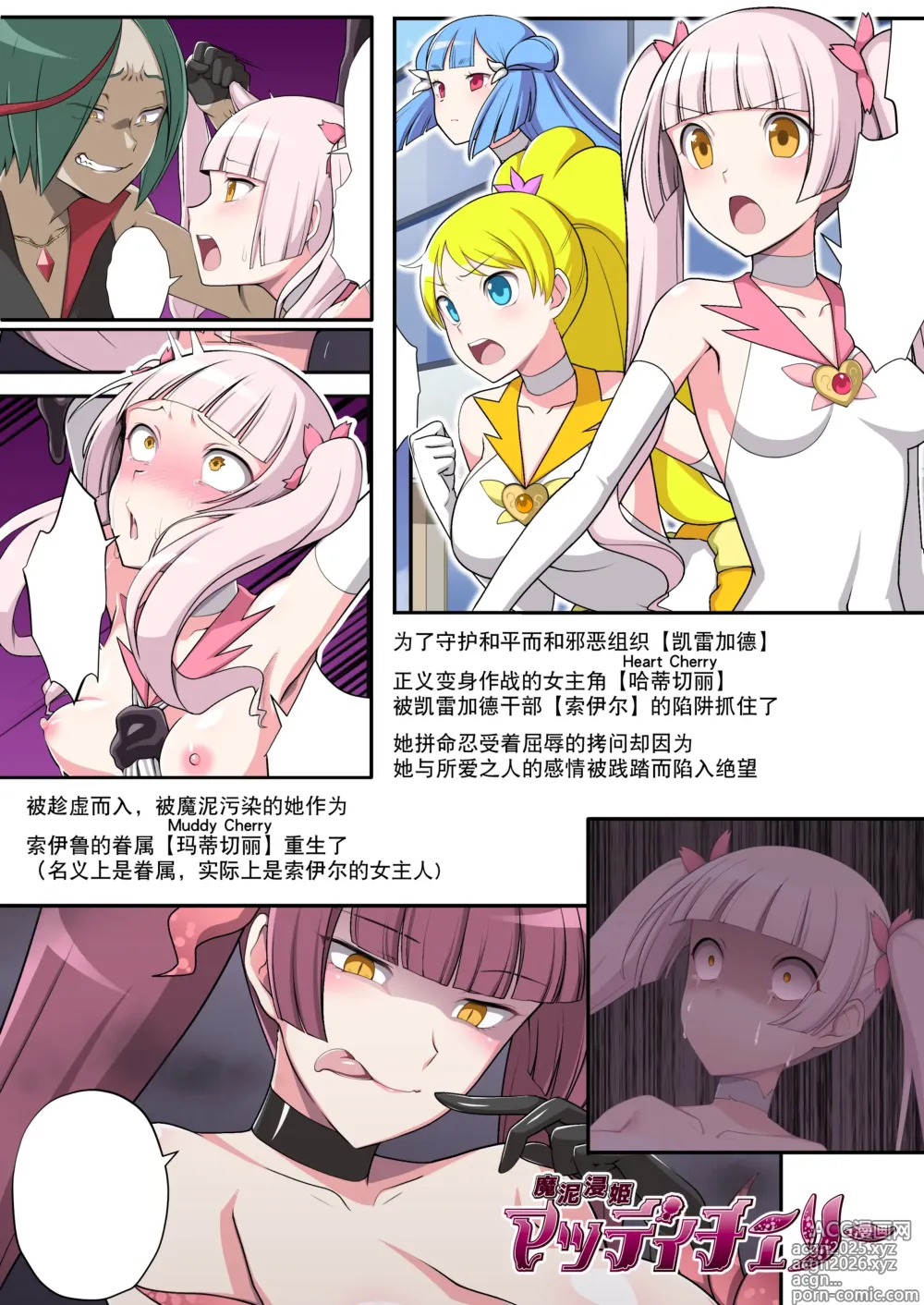 Page 2 of doujinshi 魔泥浸姫玛蒂切利外传 作为认真冷静的魔法少女的我成为侍奉主人的肉棒大人的母狗的故事