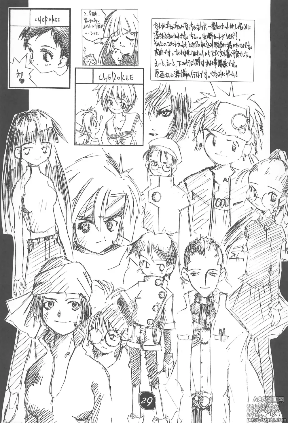 Page 29 of doujinshi CHEROKEE vol.2