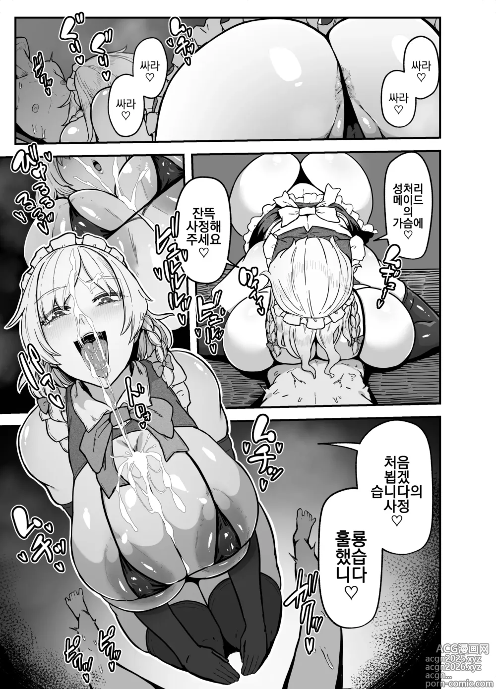 Page 9 of doujinshi 2025 01 31 『咲夜さんのメイド研修』₍touhou prpject)