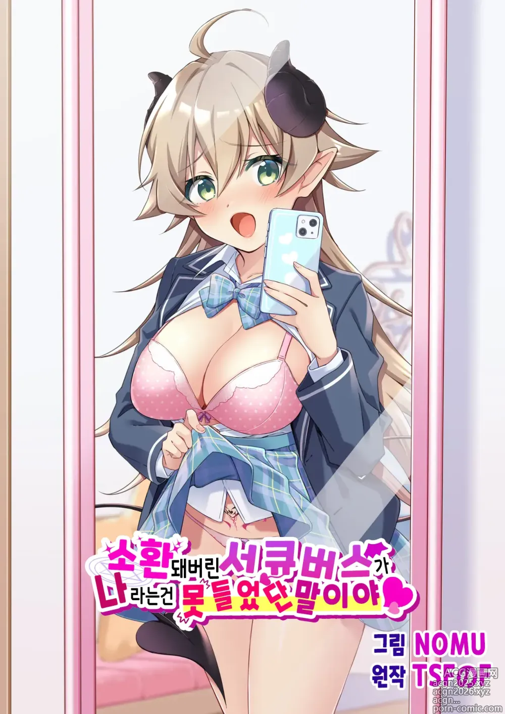 Page 1 of doujinshi 소환돼버린 서큐버스가 나라는건 못 들었단 말이야