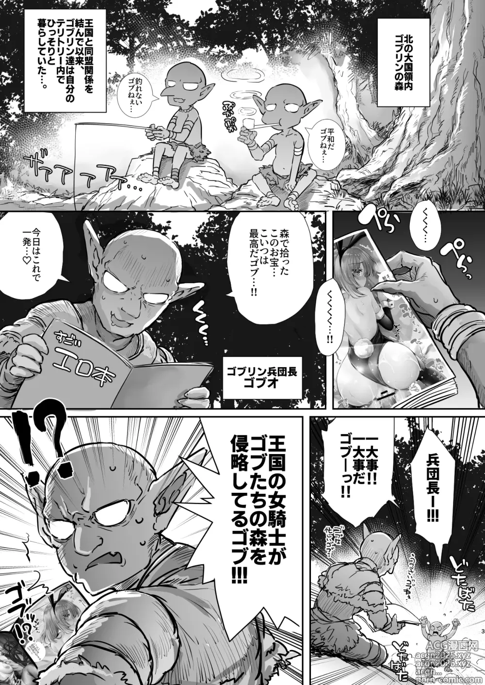 Page 3 of doujinshi Hokori Takaki Onna Kishi Ocean o Goburu Hon