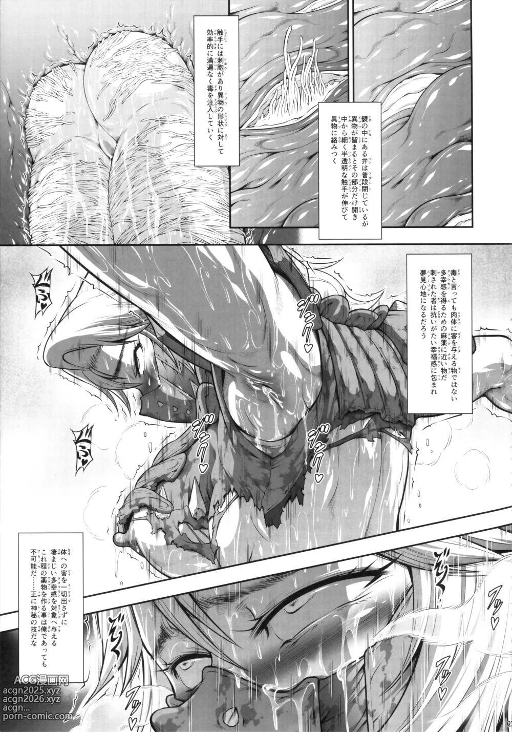 Page 26 of doujinshi Solo Hunter no Seitai WORLD 12