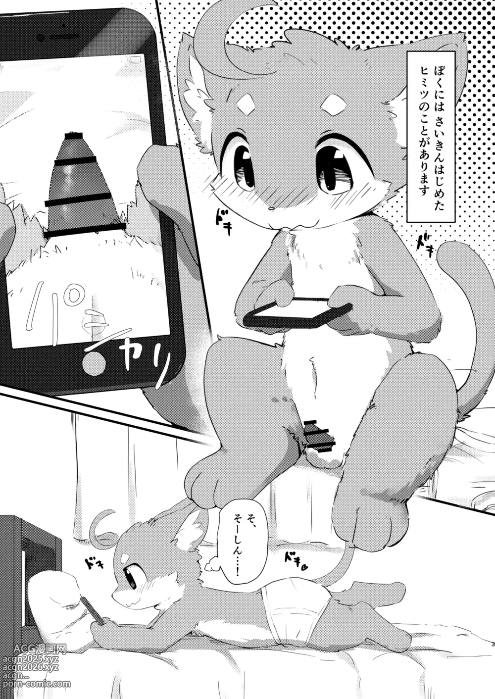 Page 3 of doujinshi Roji Ura Kemoshota Randoseru