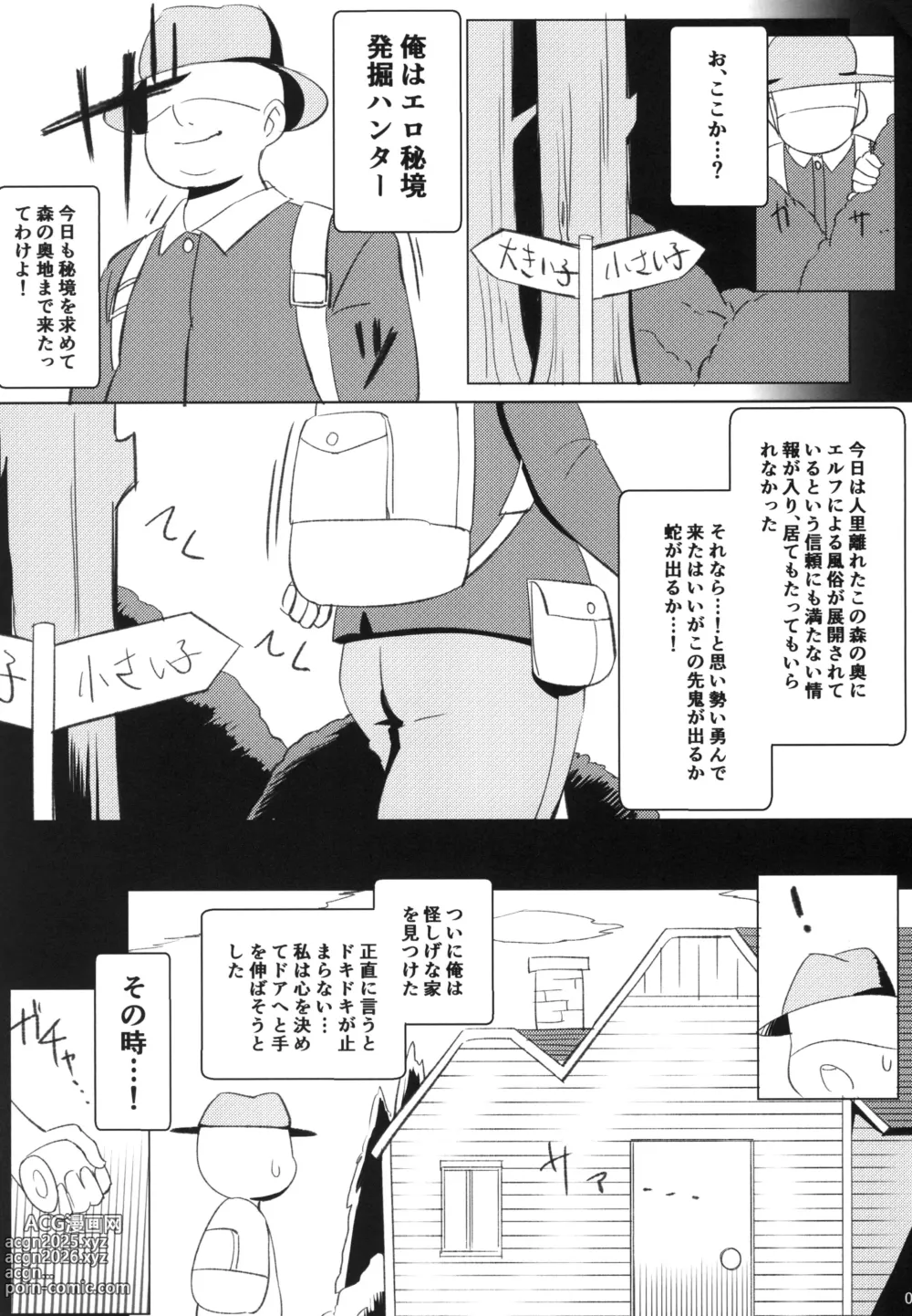Page 3 of doujinshi Elfuuzoku Taikenki