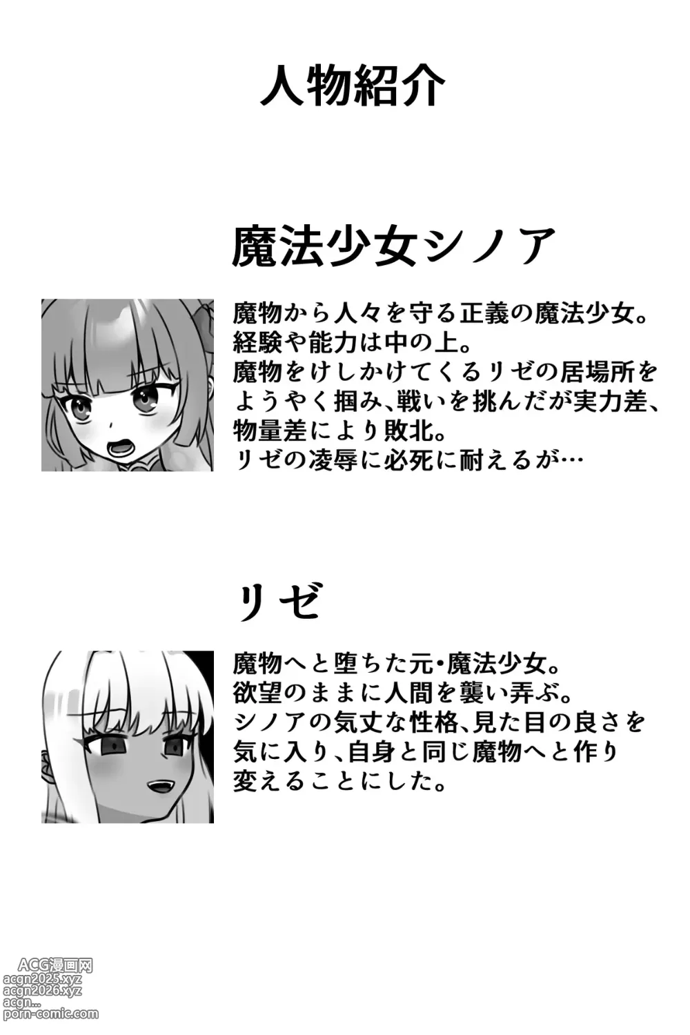 Page 3 of doujinshi Mahō Shōjo Waru shí 3 ~ Futanari Kaizō Yuri yín rǔ ~