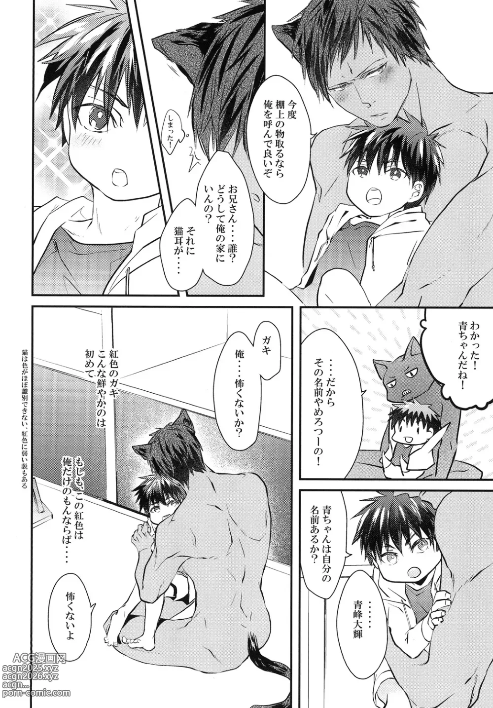 Page 11 of doujinshi 猫にニャンニャン泣かされて