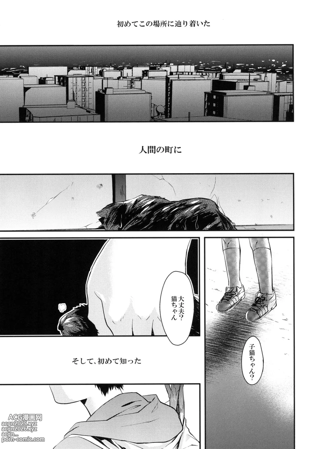 Page 6 of doujinshi 猫にニャンニャン泣かされて