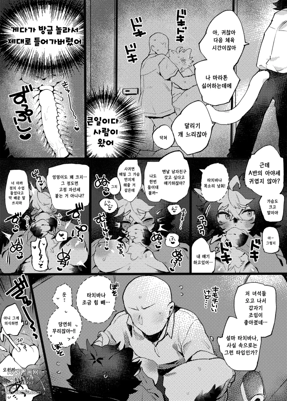 Page 6 of doujinshi 아야세쨩과 어른놀이