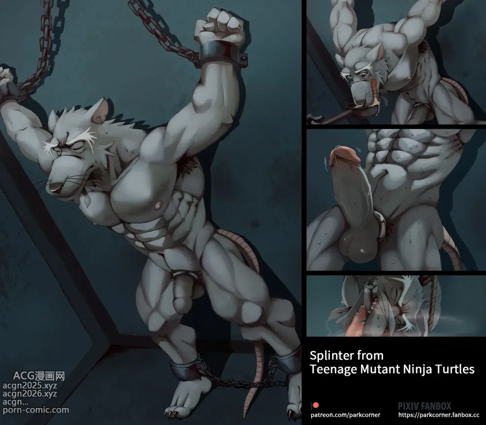 Page 1 of imageset Splinter