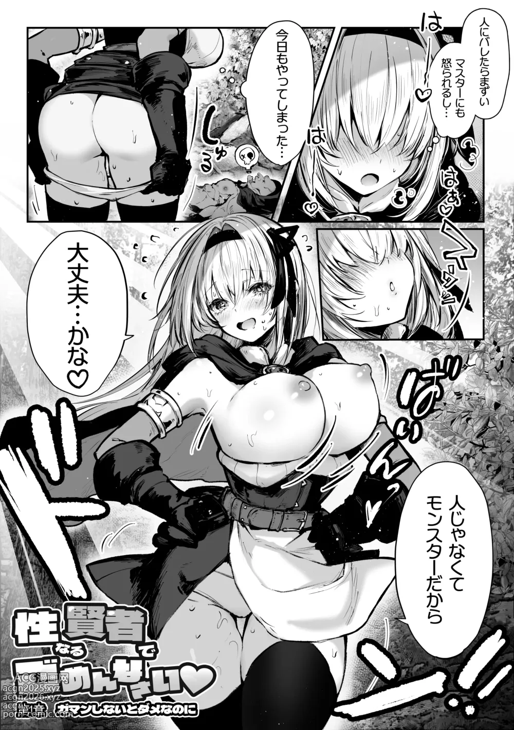 Page 4 of doujinshi 性なる賢者でごめんなさい〜第1章ガマンしないとダメなのに〜