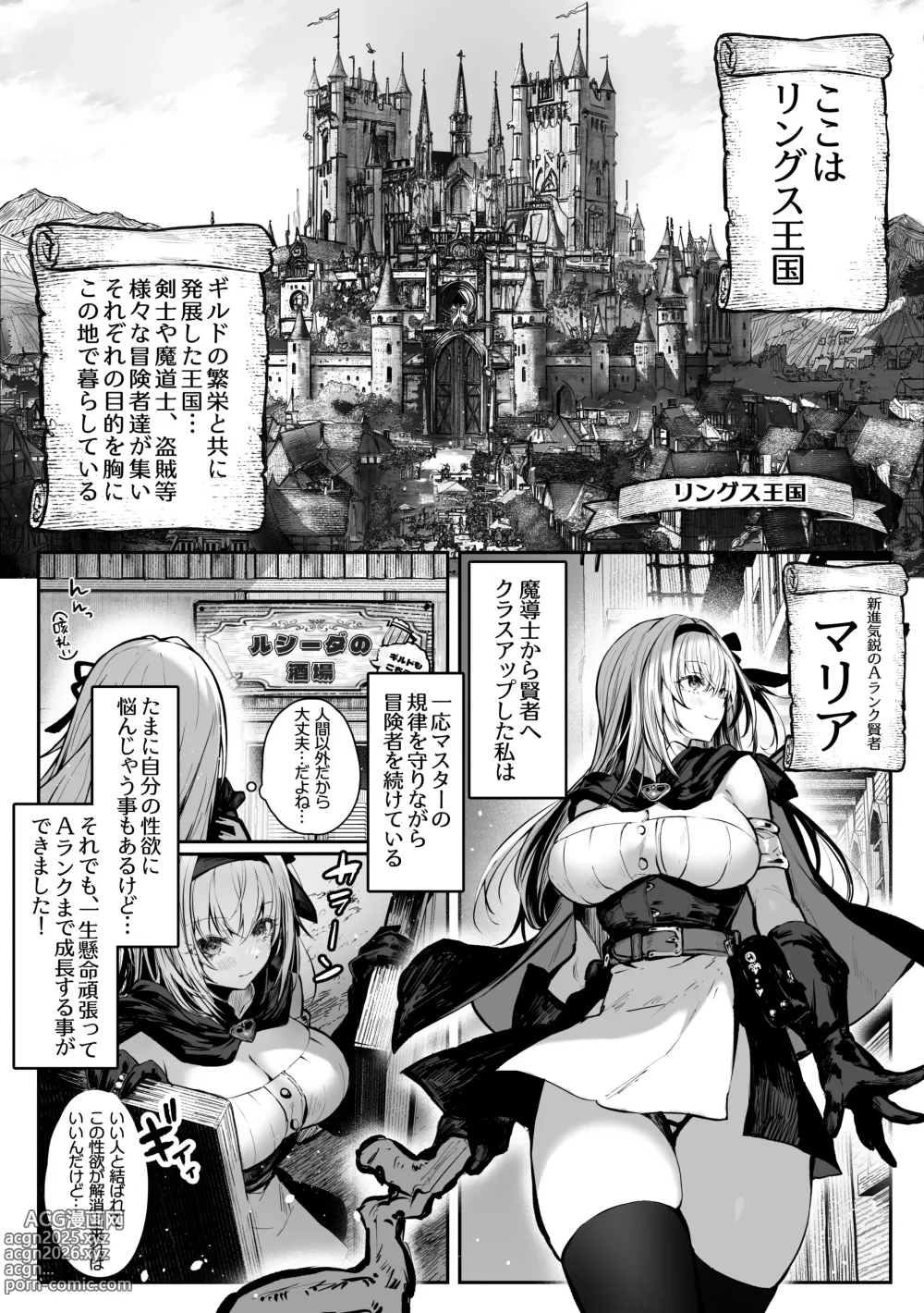 Page 5 of doujinshi 性なる賢者でごめんなさい〜第1章ガマンしないとダメなのに〜