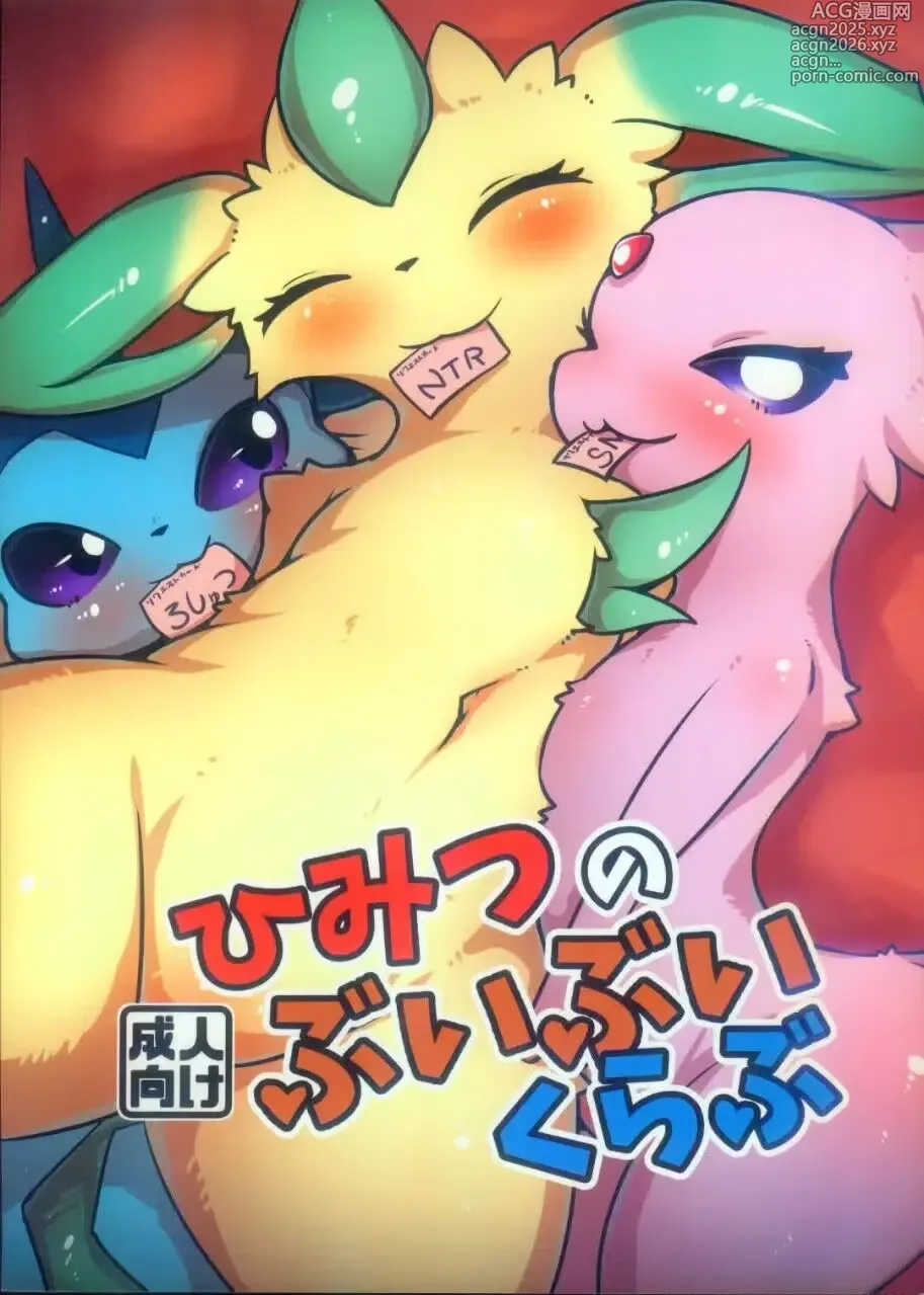 Page 1 of doujinshi 伊布俱乐部