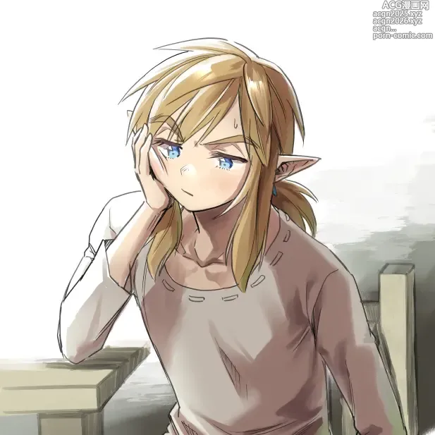 Page 535 of imageset Zelda art - 松本痙  @keirenkun