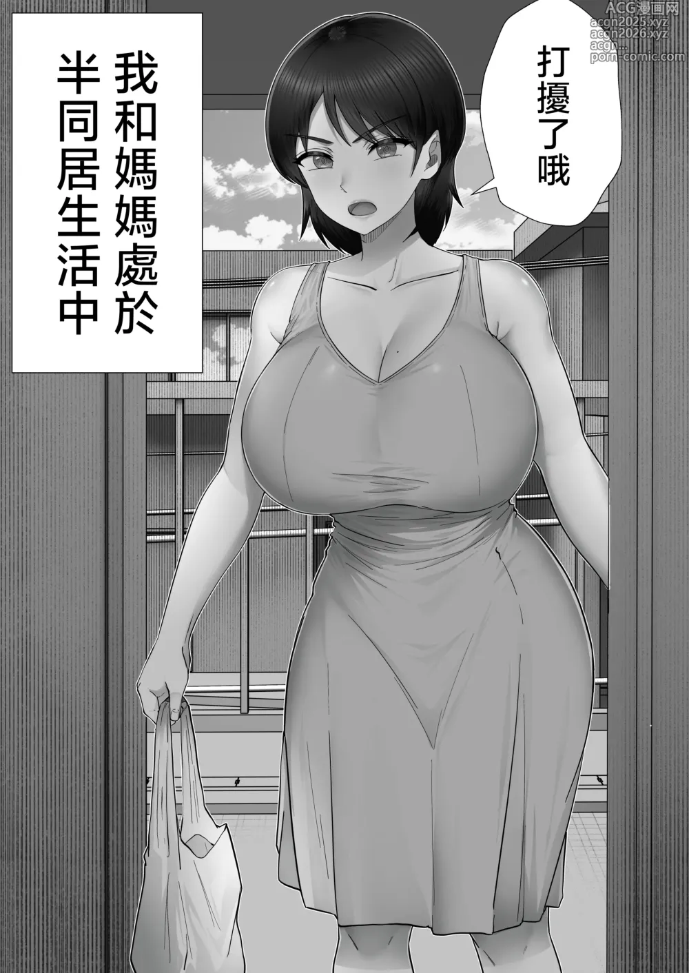 Page 3 of doujinshi DeliHeal Kaa-chan 3 ~Daisukina Kaa-chan to Yari Makuri Handousei Sei Katsu~