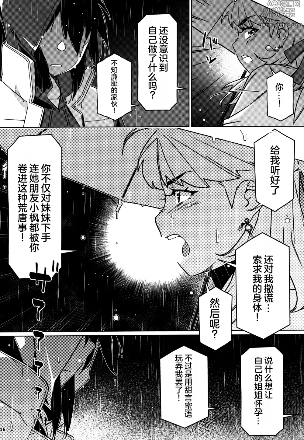 Page 15 of doujinshi Otonano Omochiya 28
