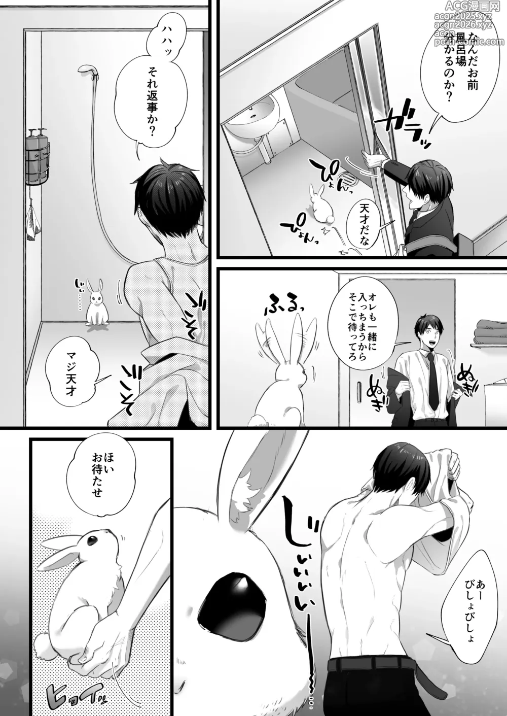 Page 4 of doujinshi 落し物は発情うさぎ