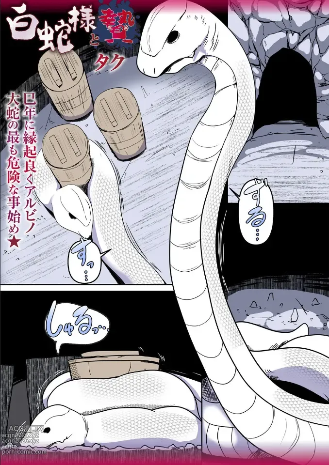 Page 1 of manga Shirohebi-sama to ni e