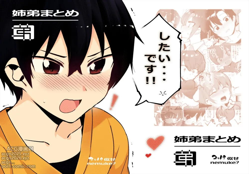 Page 1 of doujinshi 「姉弟まとめ：弟」プレビュー版！