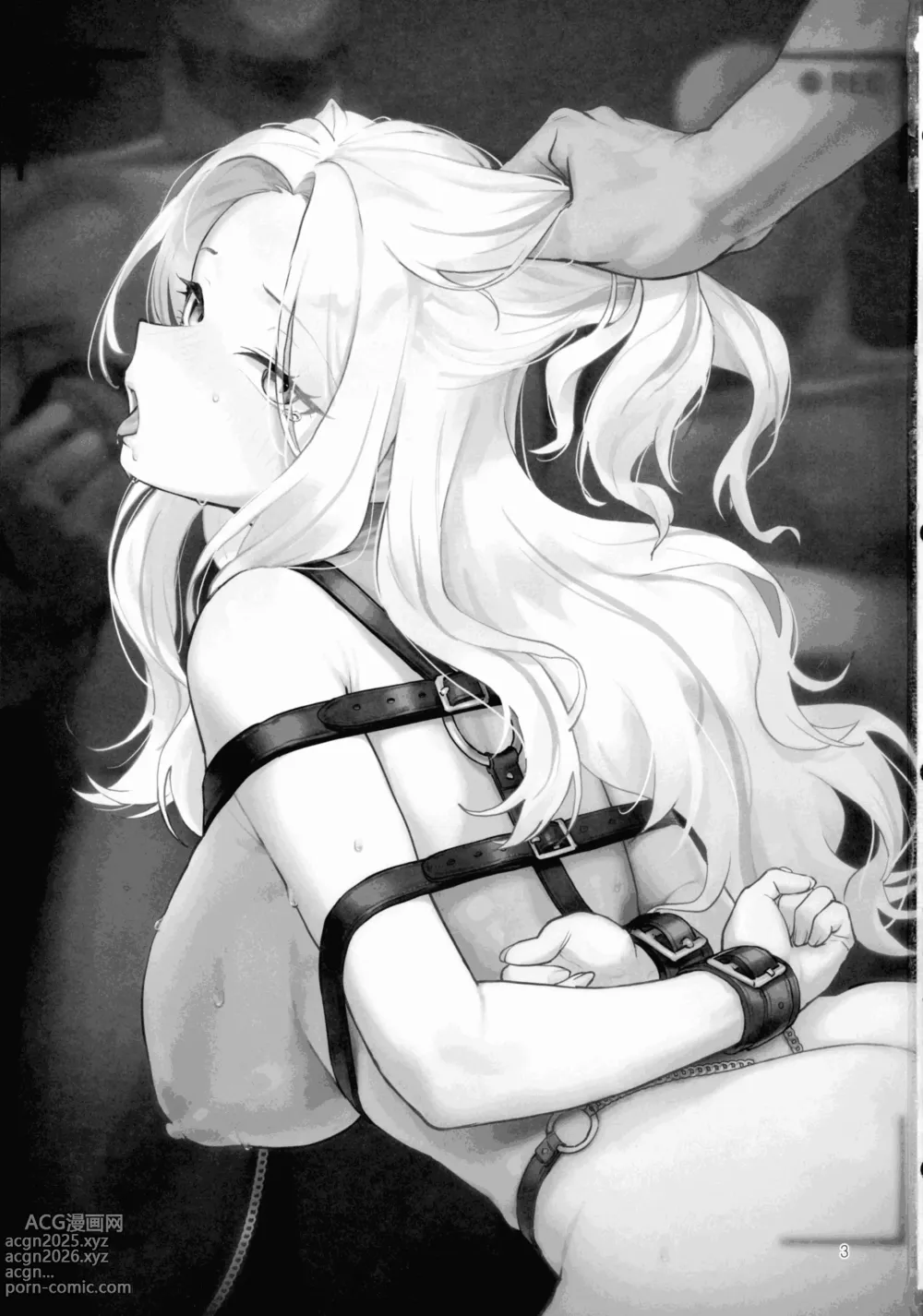 Page 3 of doujinshi Seitokaichou no Yakuwari