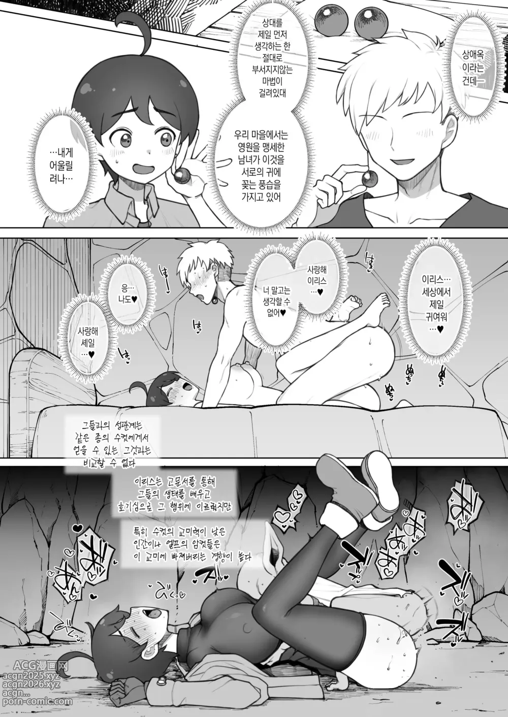 Page 5 of doujinshi 대마법사인 내가 고블린으로 자위하는 바람에