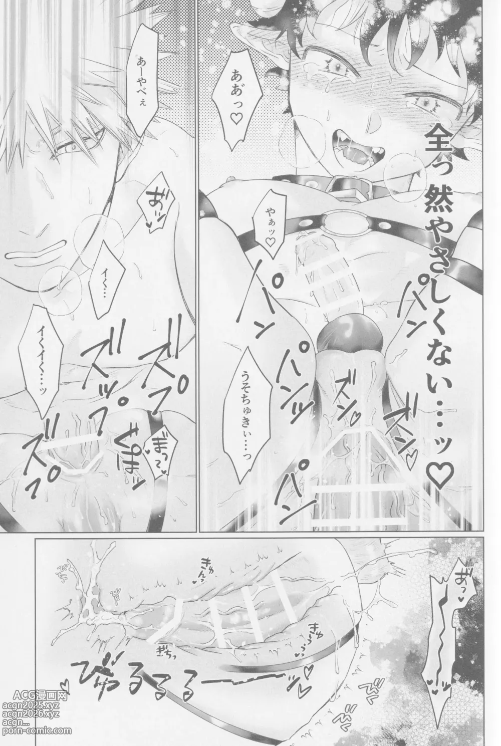 Page 14 of doujinshi Parareru panikku