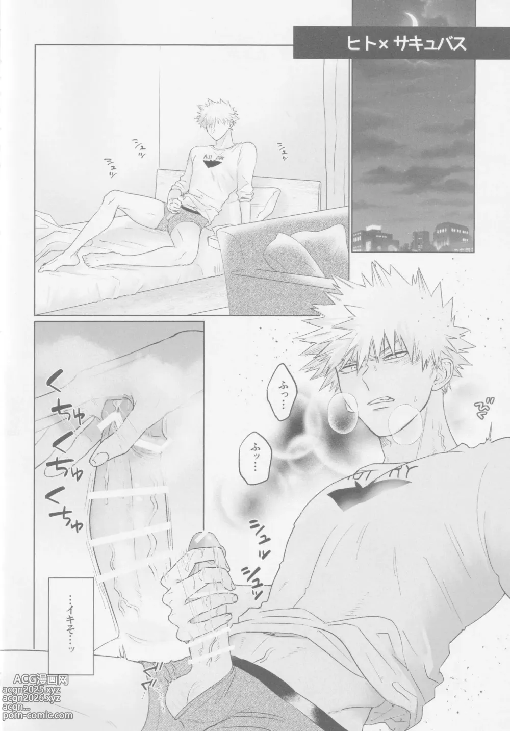 Page 3 of doujinshi Parareru panikku