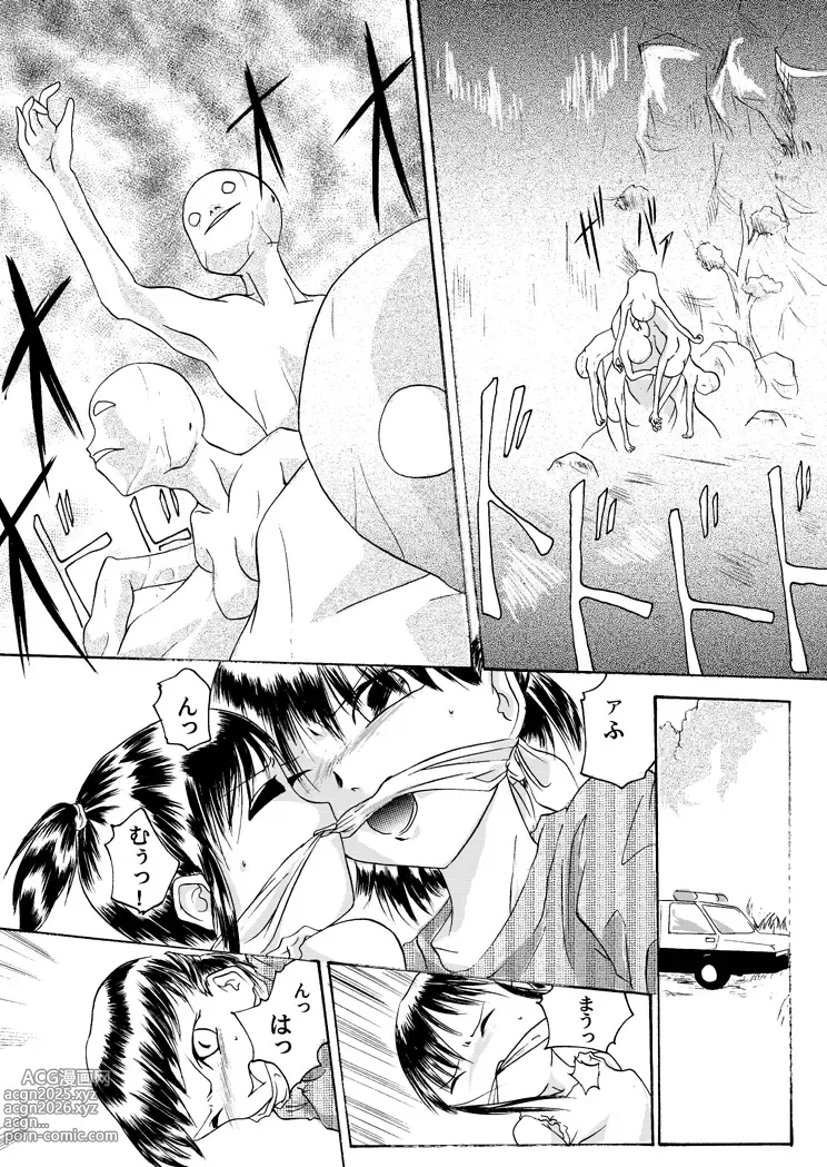 Page 27 of doujinshi Kurenai no mori ~ Misaki ~