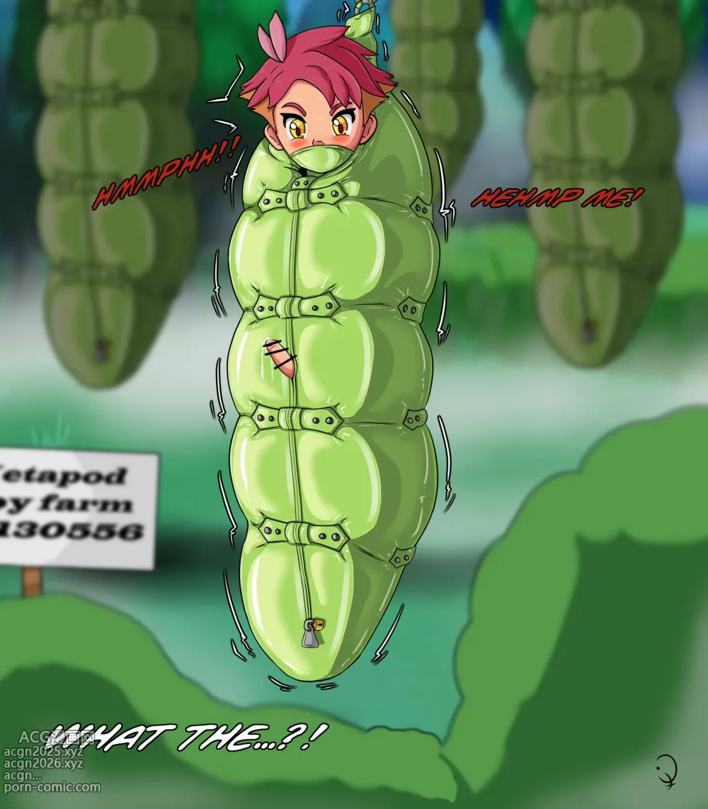 Page 669 of imageset KurtType5