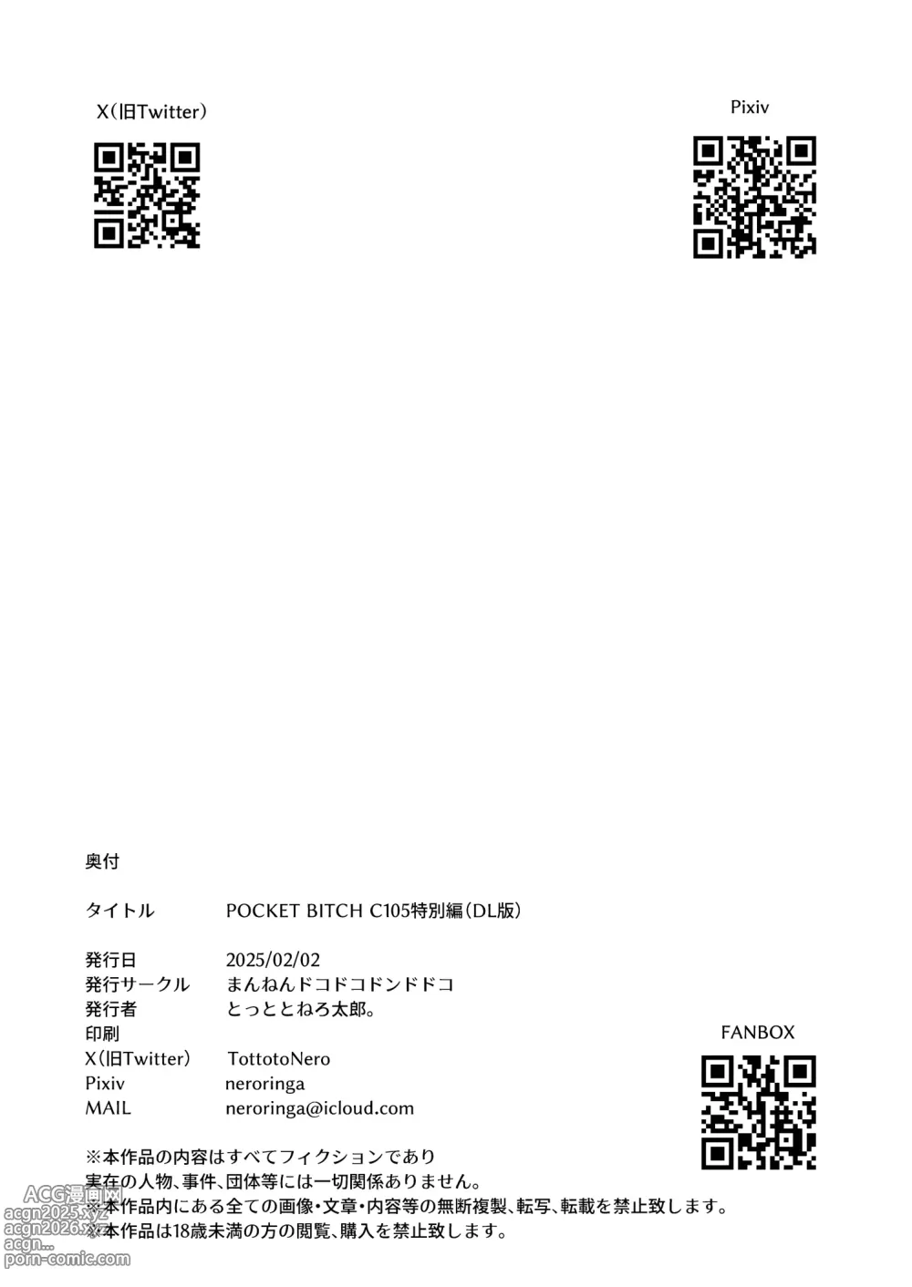 Page 11 of doujinshi POCKET BITCH C105 特别篇