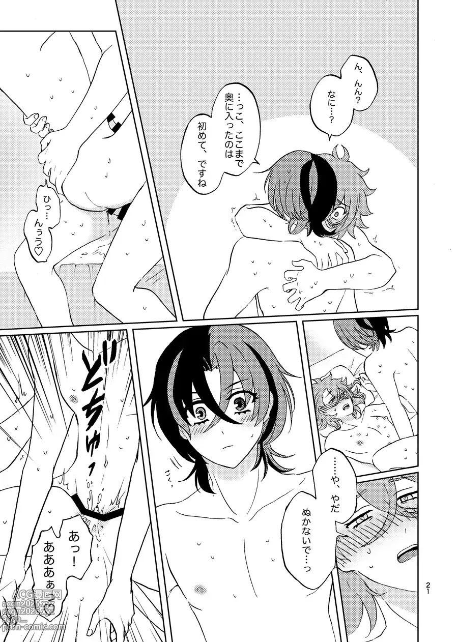 Page 20 of doujinshi めちゃくちゃにしてと言われてもっ！