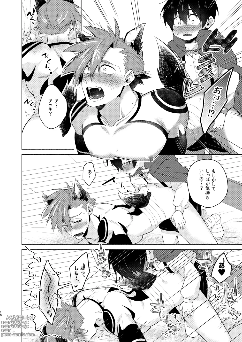 Page 15 of doujinshi 赤ずきんくんとオオカミナさん