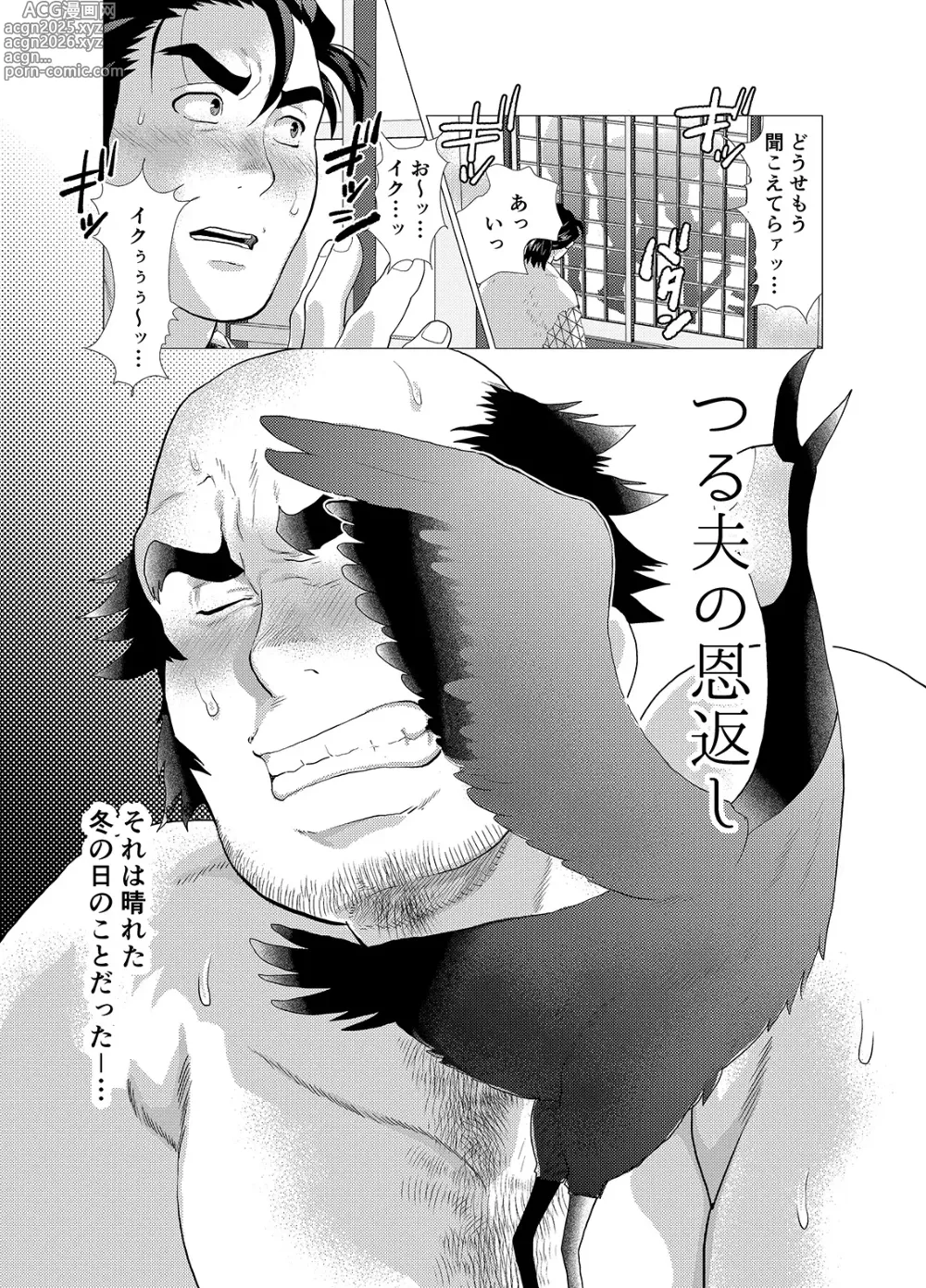Page 3 of doujinshi Tsuru Otto no Ongaeshi