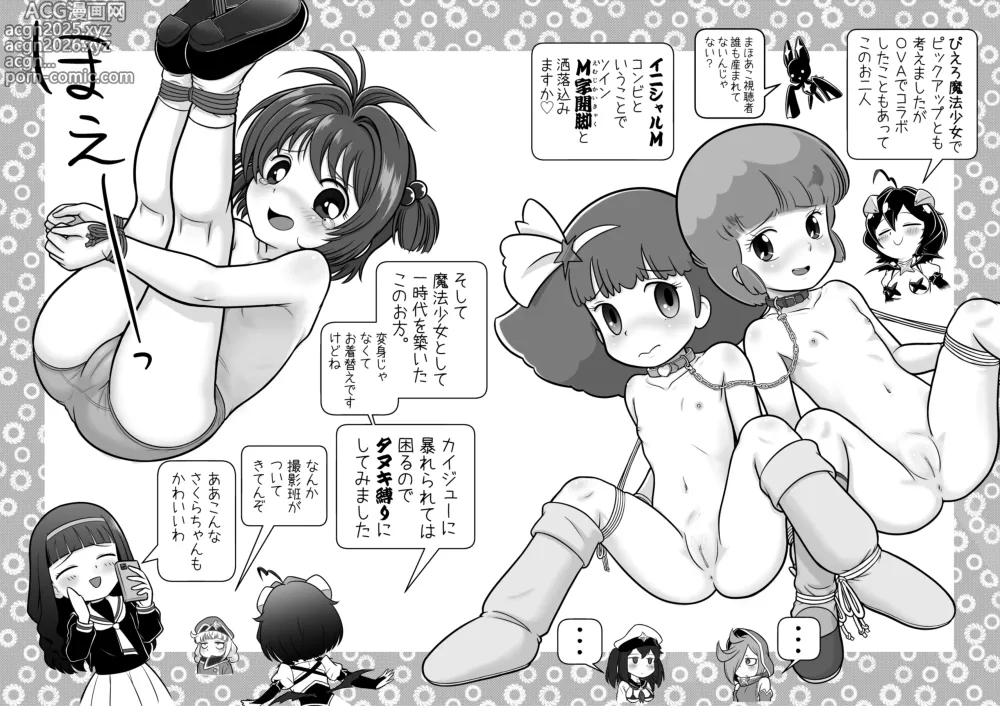 Page 5 of doujinshi Baiser-sama no Shucchou! SM Manyuuki (decensored)