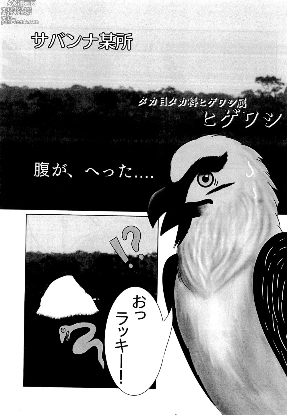Page 5 of doujinshi Hebikuiwashi ni Hamerarete