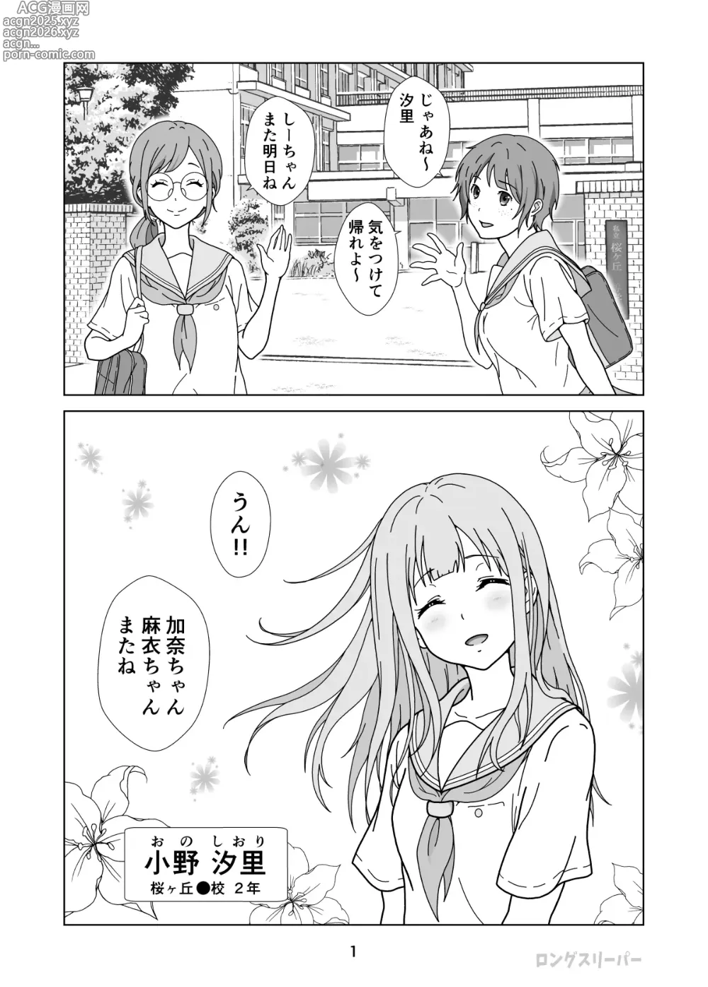 Page 3 of doujinshi 清楚系ヒロイン狩り