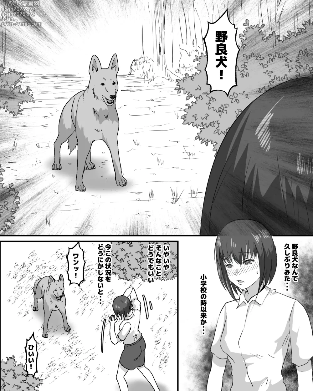 Page 4 of doujinshi Norainu to OL