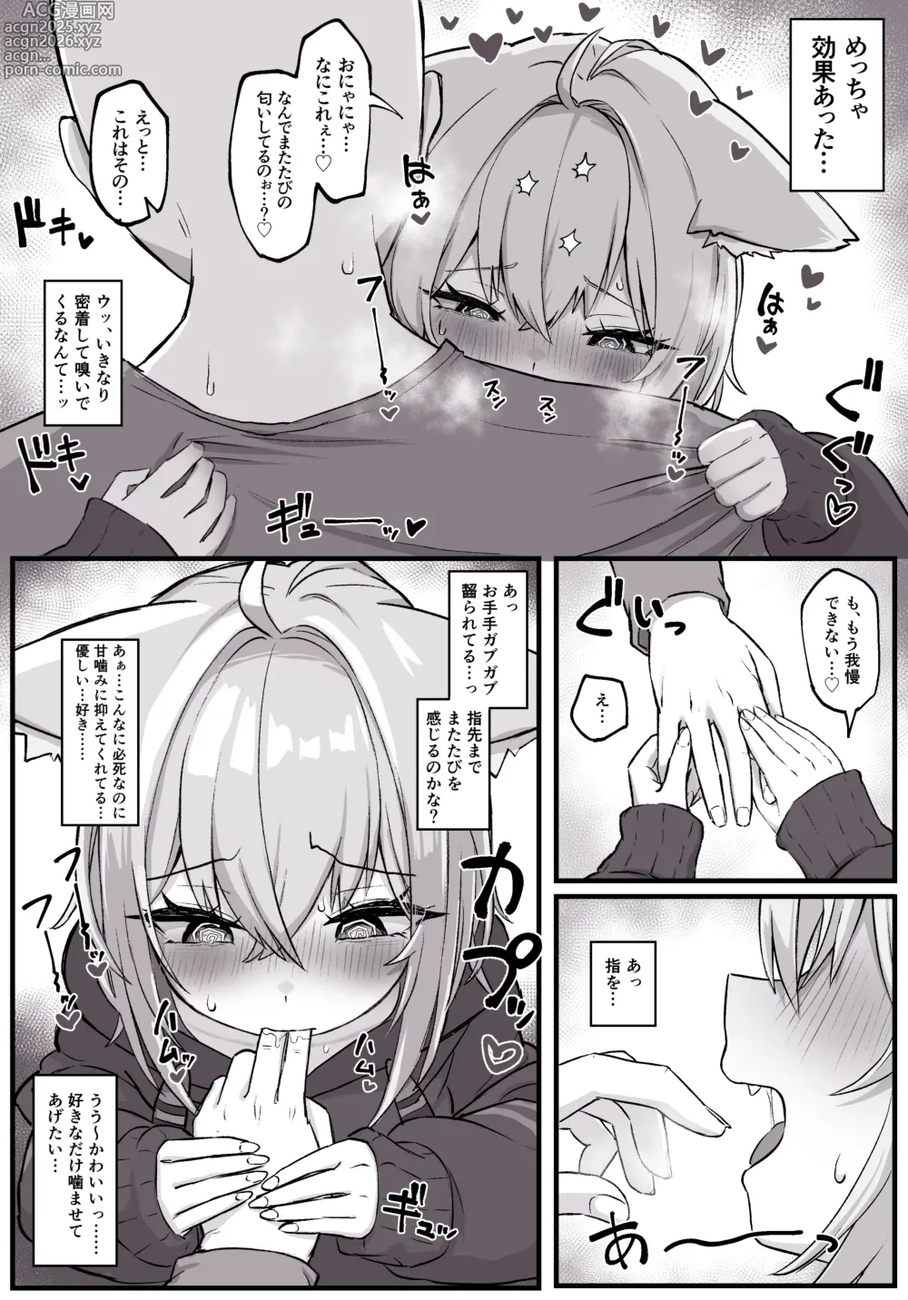 Page 3 of doujinshi マタタビ酔いどれokyn
