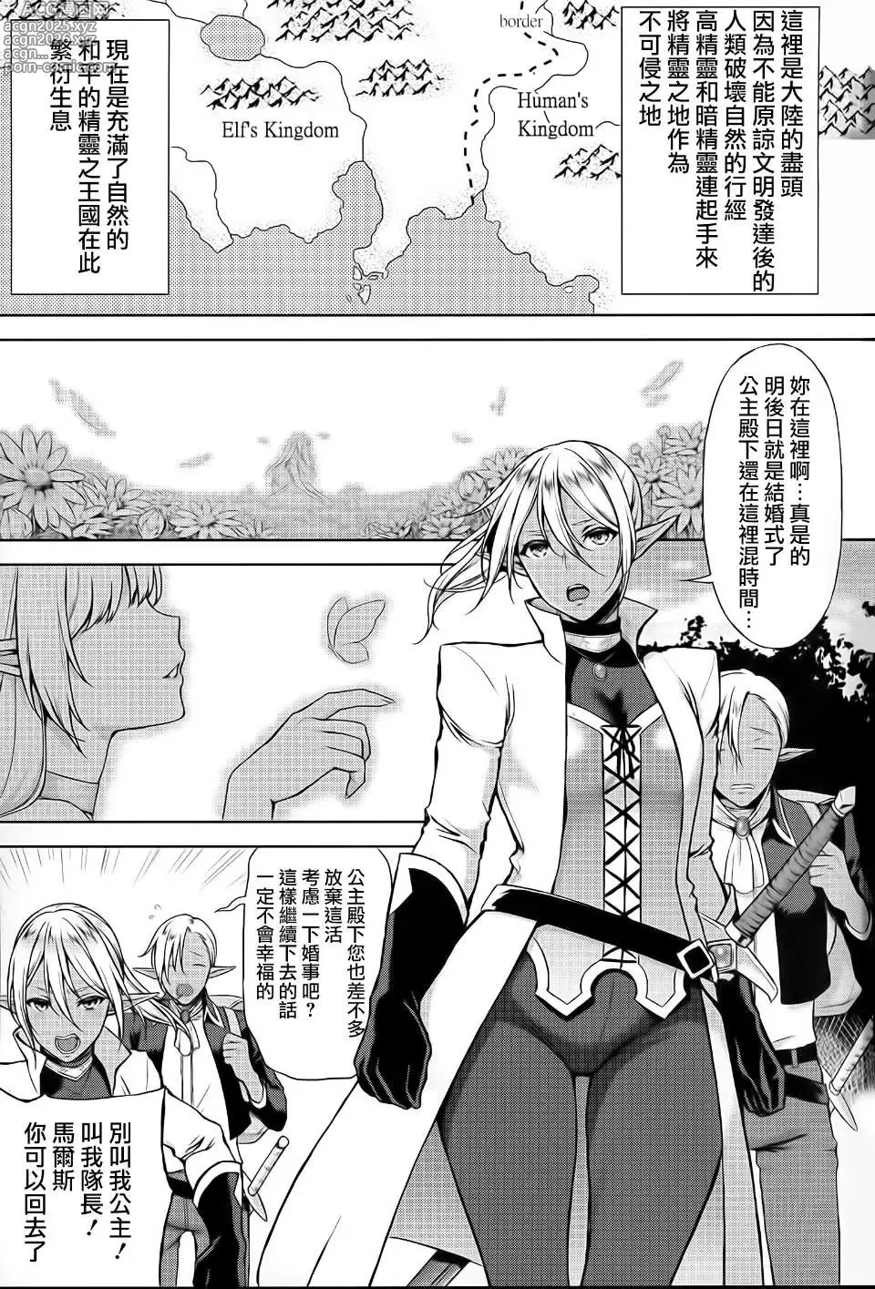 Page 5 of doujinshi The elf princess weeps for pleasure