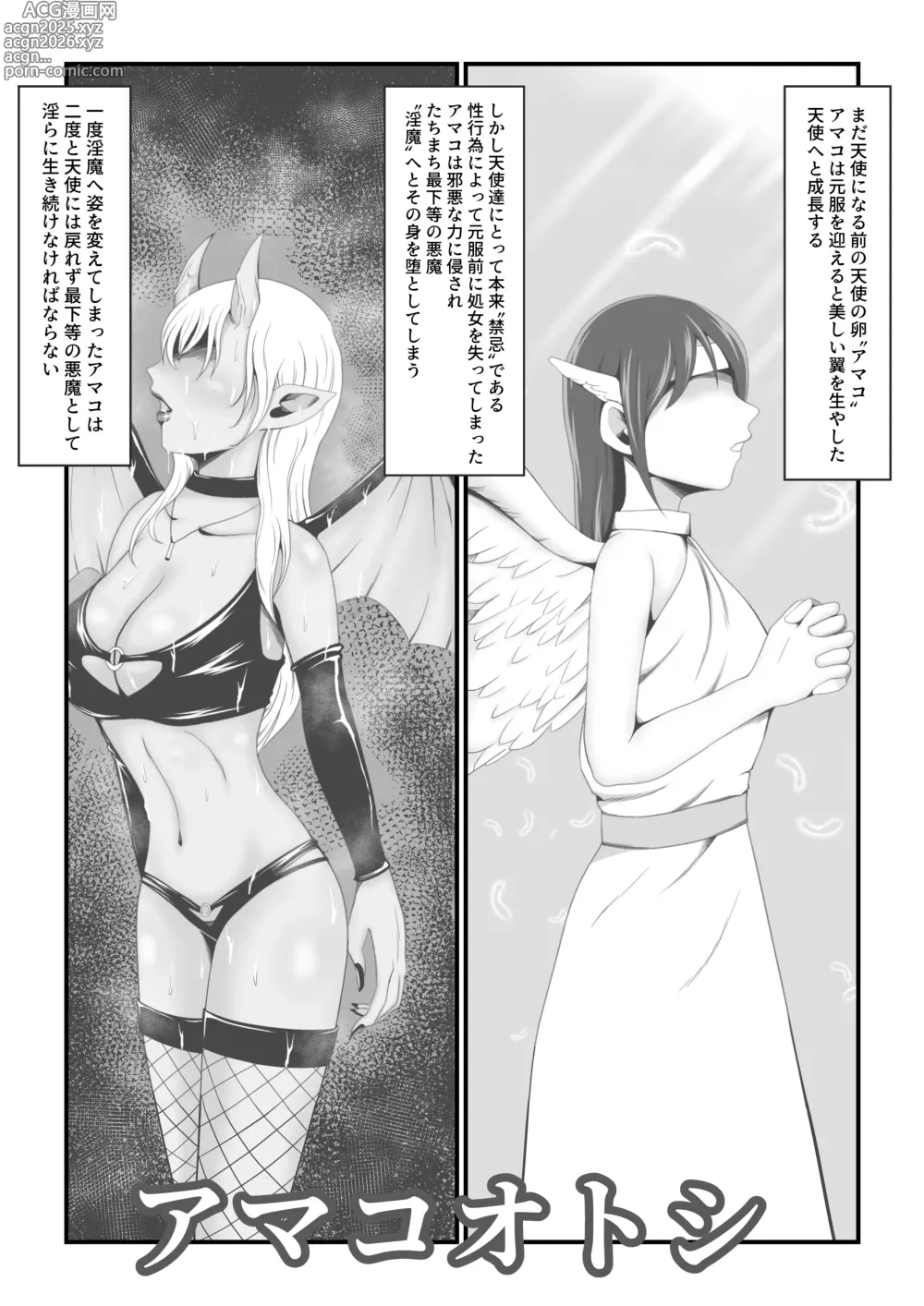 Page 1 of doujinshi Amakootoshi 2 - Rachel von Ellesir Edition