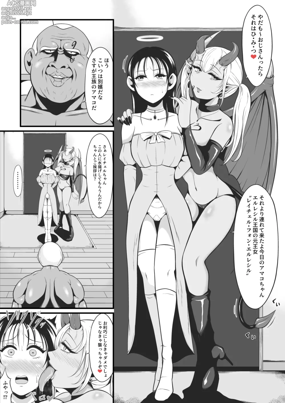 Page 3 of doujinshi Amakootoshi 2 - Rachel von Ellesir Edition