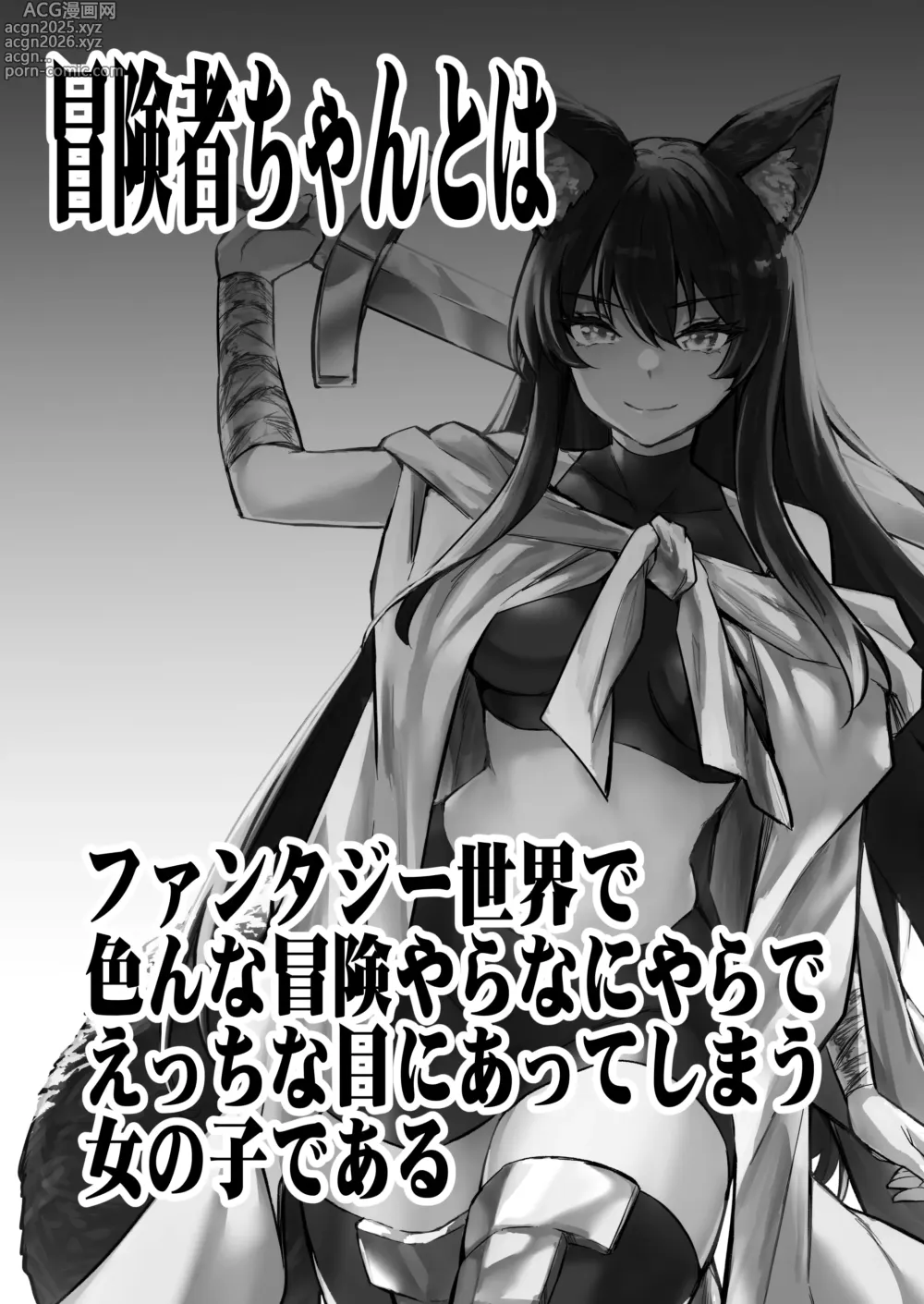 Page 2 of doujinshi Boukensha-chan to Ecchi na Bouken 4