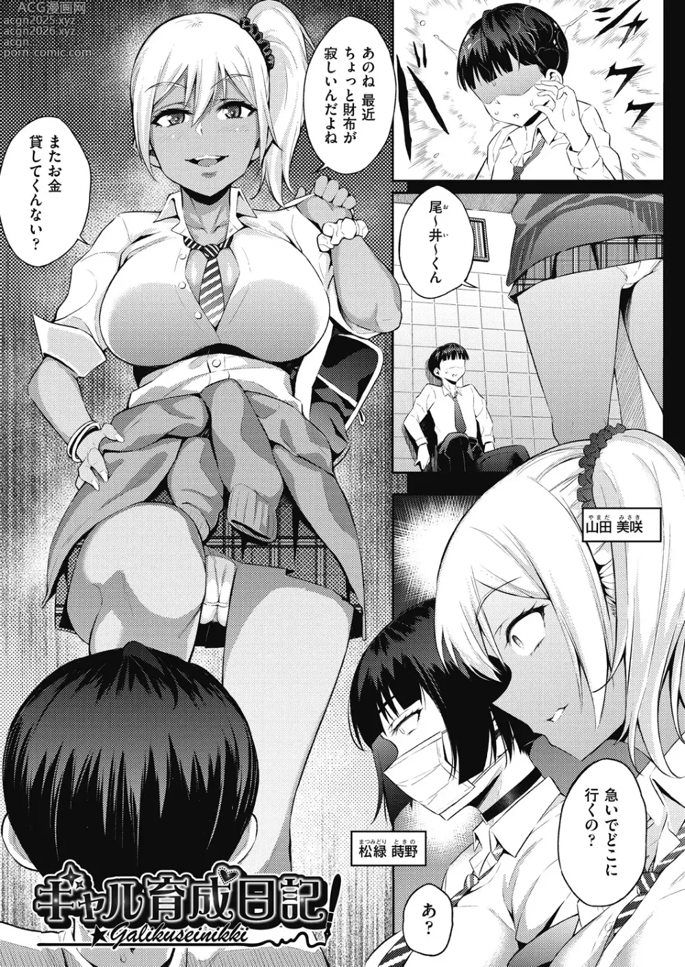 Page 5 of manga Gal no Yari Life Nikki