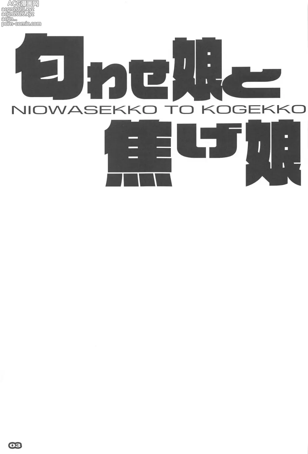 Page 2 of doujinshi NIOWASEKKO TO KOGEKKO