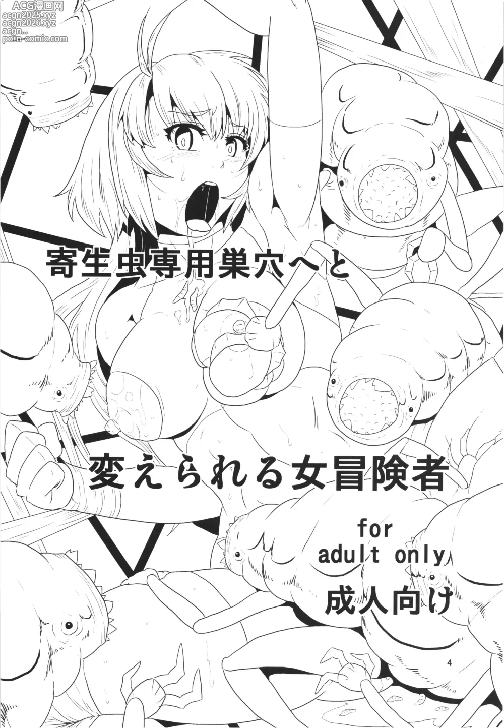 Page 4 of doujinshi Kiseichuu senyou suana heto kaerareru onnna boukenshya