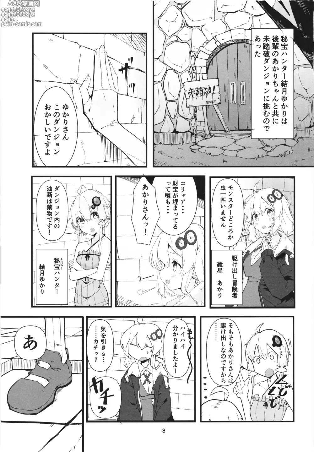 Page 3 of doujinshi Yukari-san no Bouken