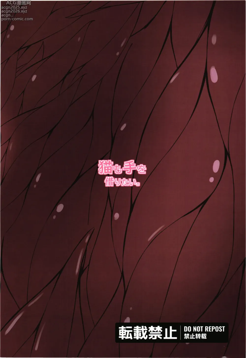 Page 2 of doujinshi Cavour vs Kirai